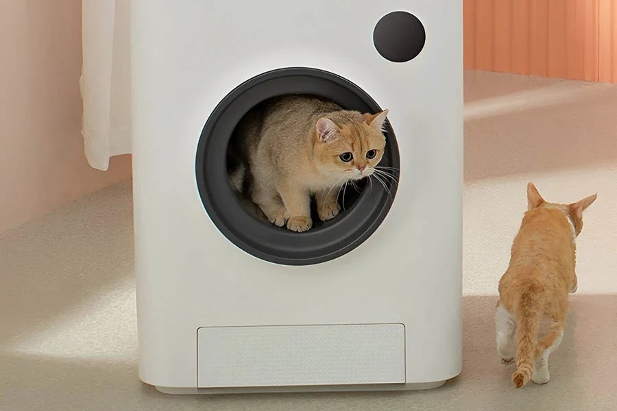 best litter boxes for multiple cats